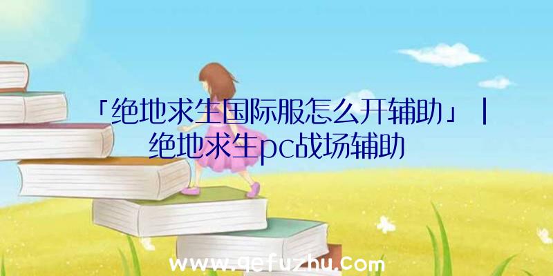 「绝地求生国际服怎么开辅助」|绝地求生pc战场辅助